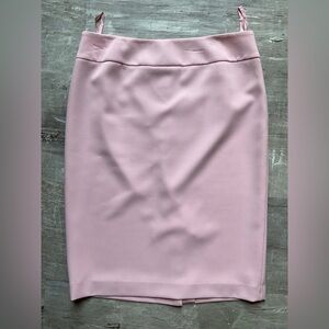 Elegant Pink Women's Skirt